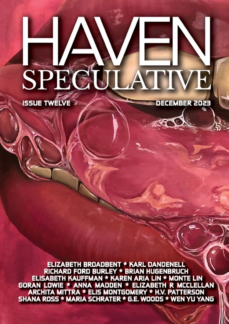 Cover of Issue Twelve, December 2023, Haven Spec Magazine