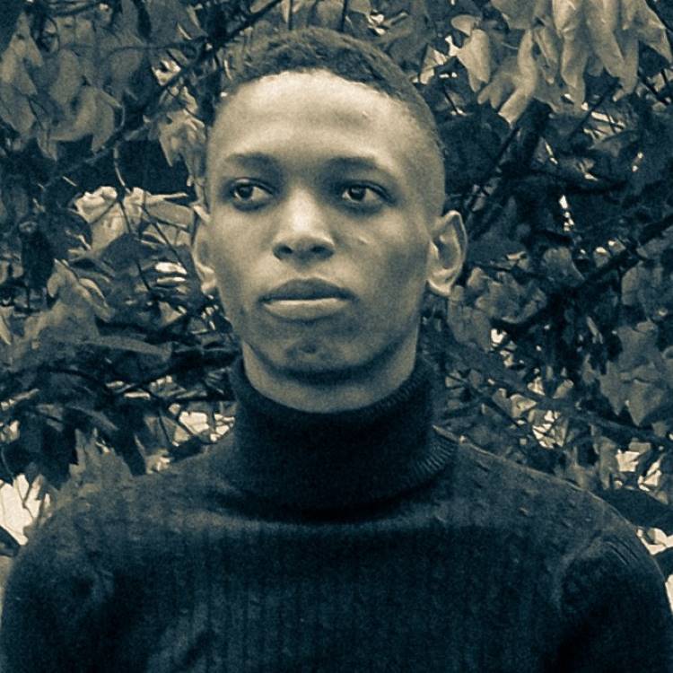 Adesiyan Oluwapelumi, author image