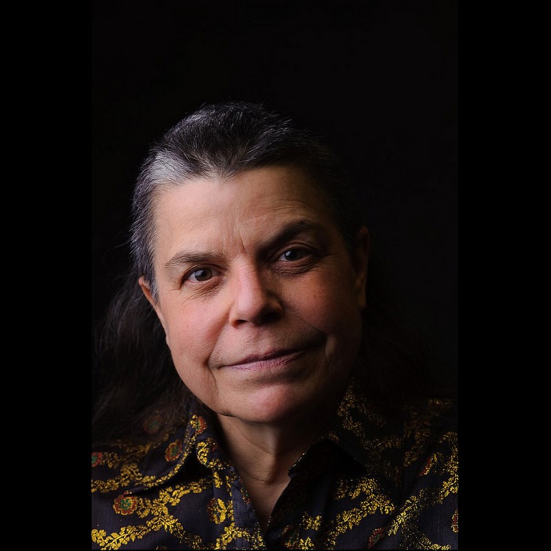 F. J. Bergmann, author image