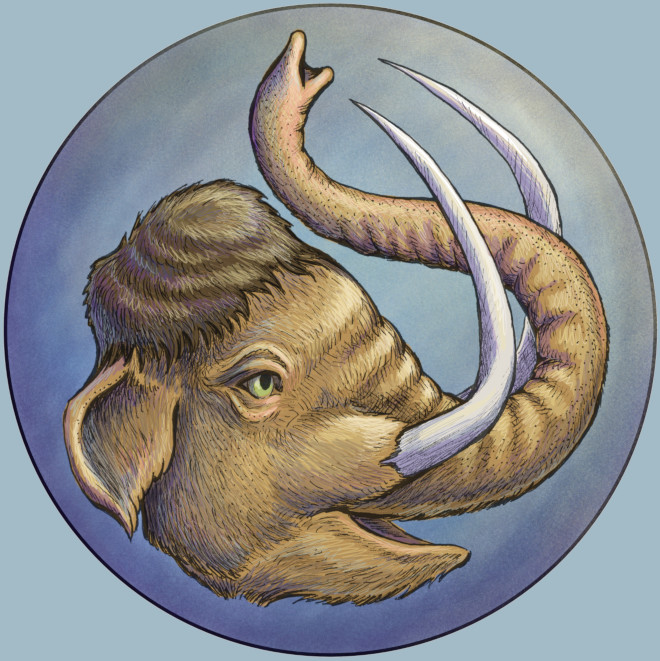 Abdulkareem Abdulkareem, author image